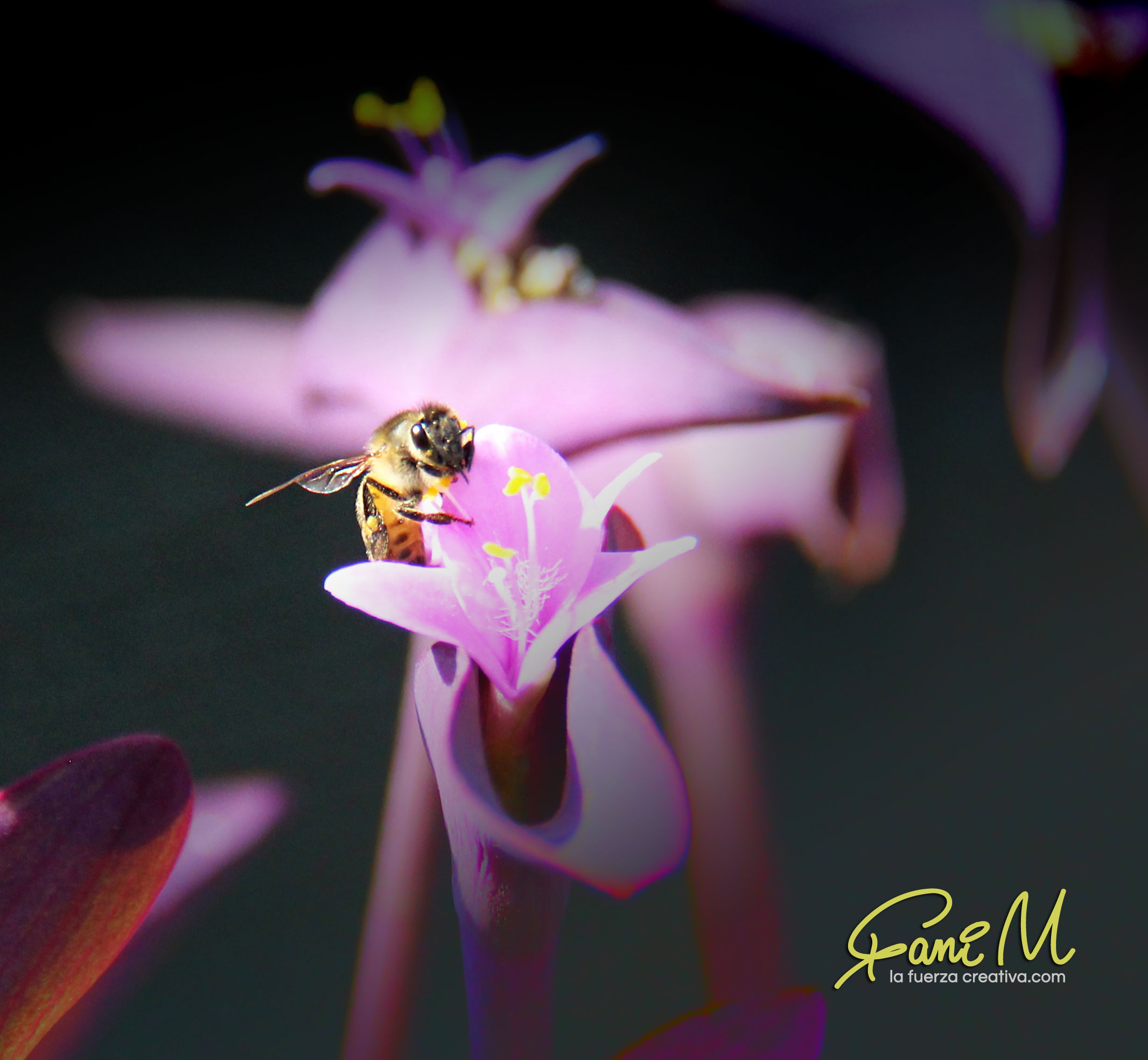Photograph 3 by Stephanie Morgan