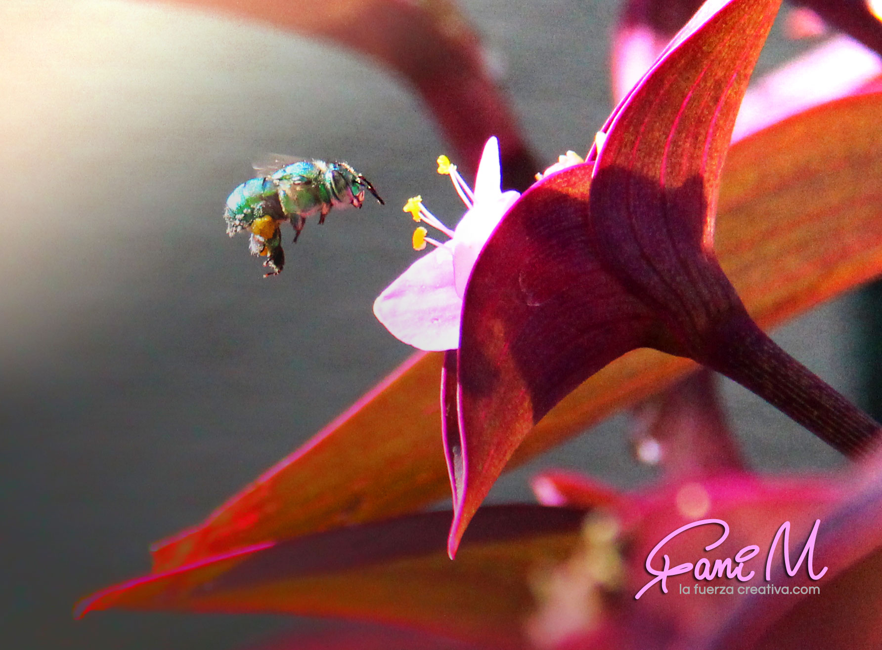 Photograph 5 by Stephanie Morgan