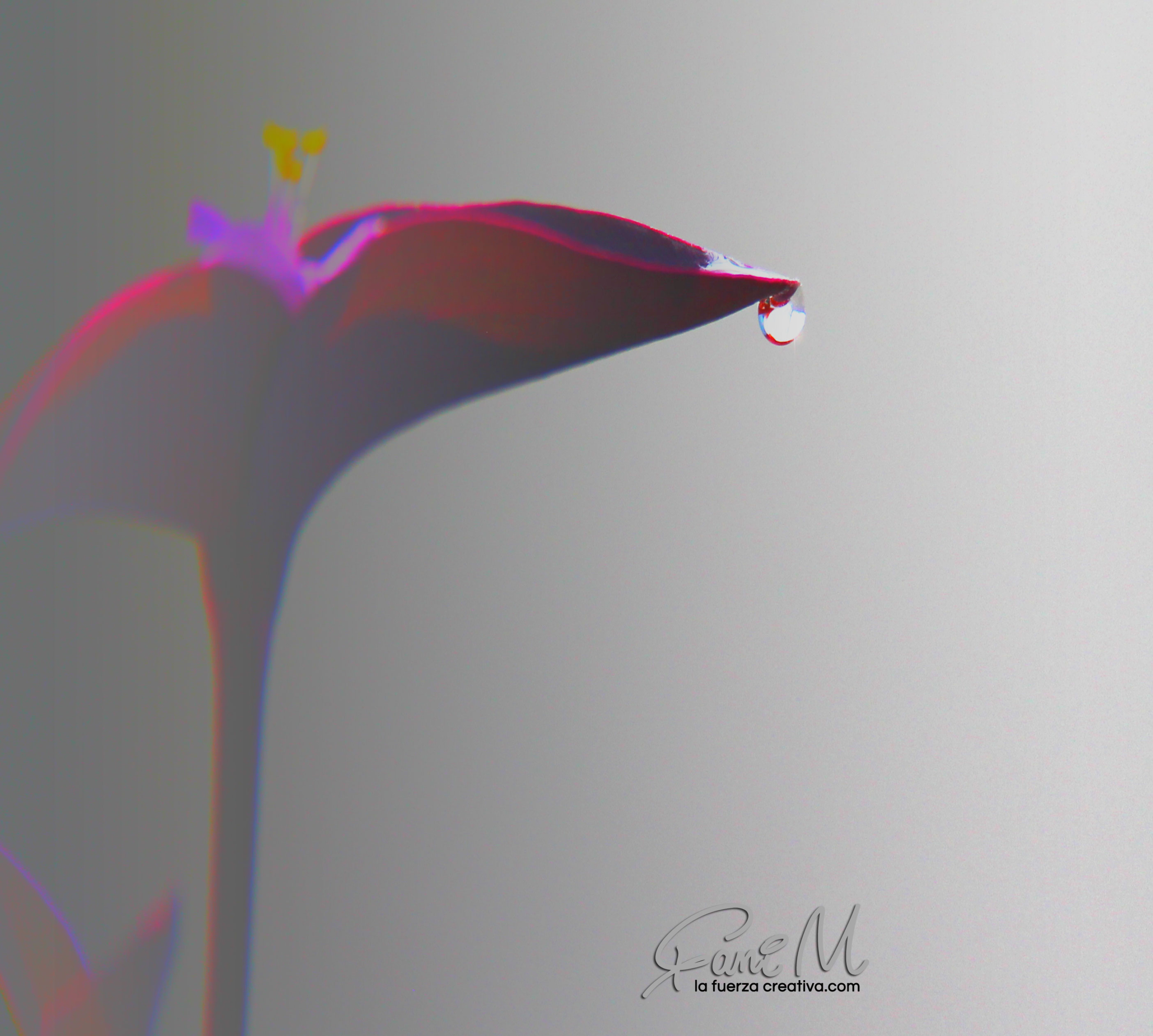 Photograph 6 by Stephanie Morgan
