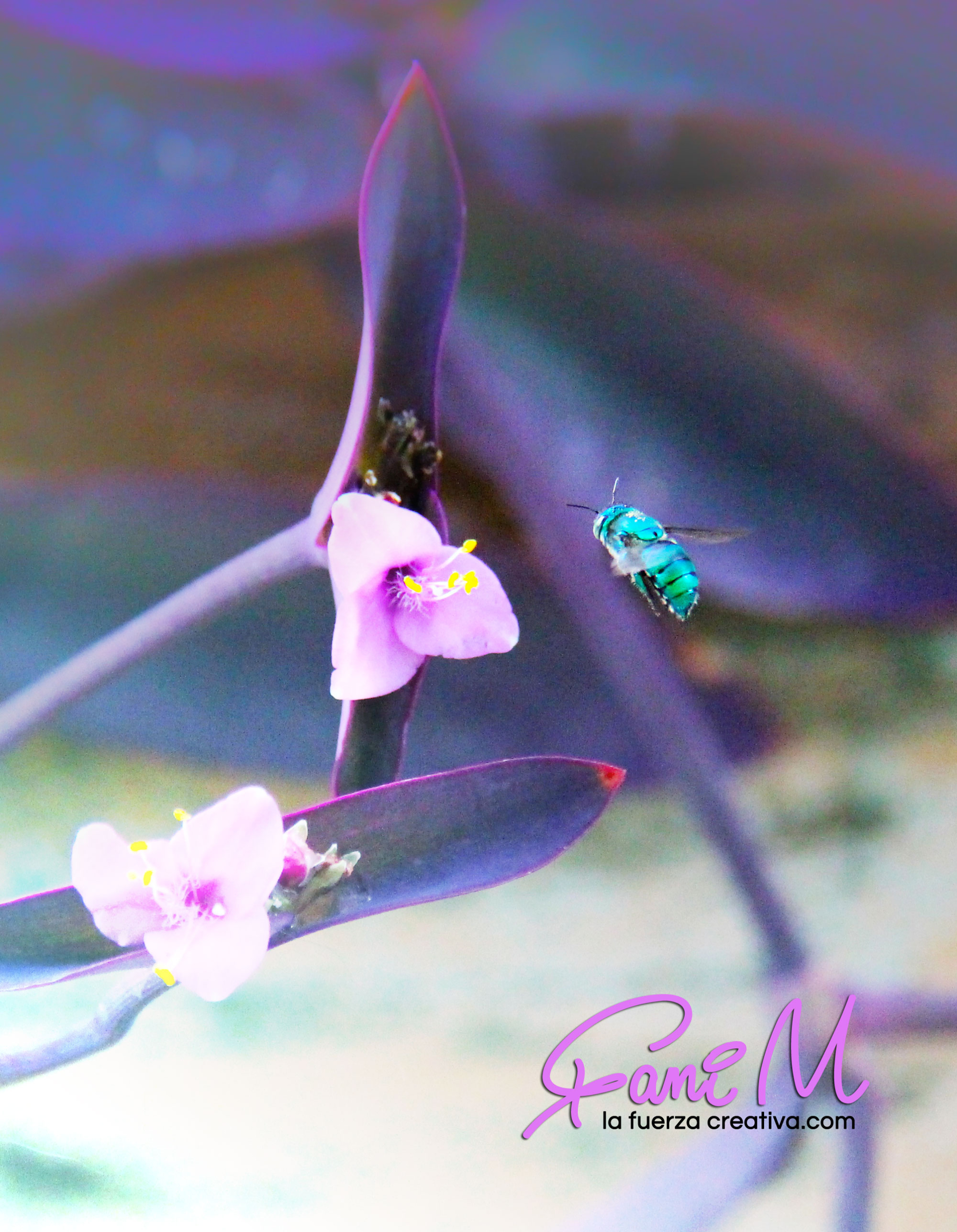 Photograph 7 by Stephanie Morgan