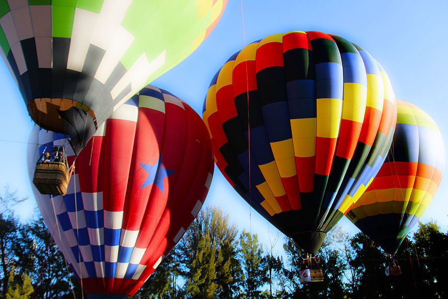 balloonfest1 by Stephanie Morgan