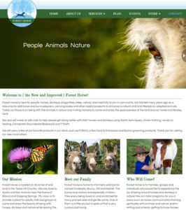 Forest Horse Writing Events